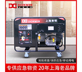 東明單三相10kw便攜式應(yīng)急小型柴油發(fā)電機(jī)組DMDS12000LE/YJ